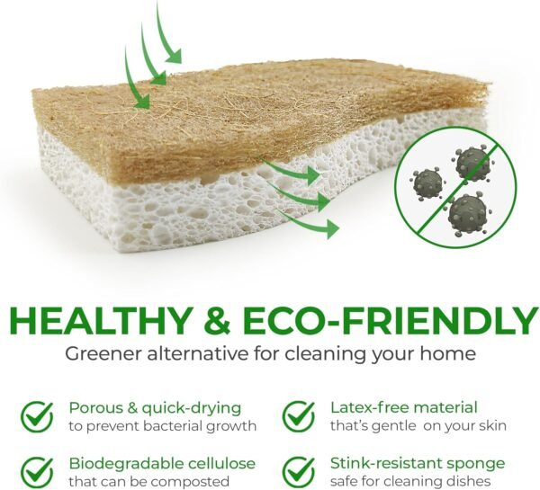 Natural Kitchen Sponge - Biodegradable Compostable Cellulose and Coconut Scrubber Sponge - Pack of 12 Eco Friendly Sponges for Dishes - Image 3