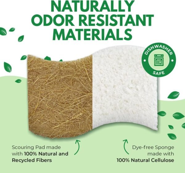 Natural Kitchen Sponges Pack of 16 - Cellulose and Coconut Husk Dishwashing Sponges - Odor Free Non Scratch Walnut Scrubber Sponges - Eco Friendly Quick Drying Scrub Sponges for Washing Dishes - Image 4
