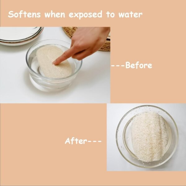 WOCATS 12pcs Natural Loofah Dish Sponges Scrubber for Kitchen-Based Dishwashing Scrubber Greener Clean Stand Wear and Tear Non-Scratch, Biodegradable (12) - Image 5