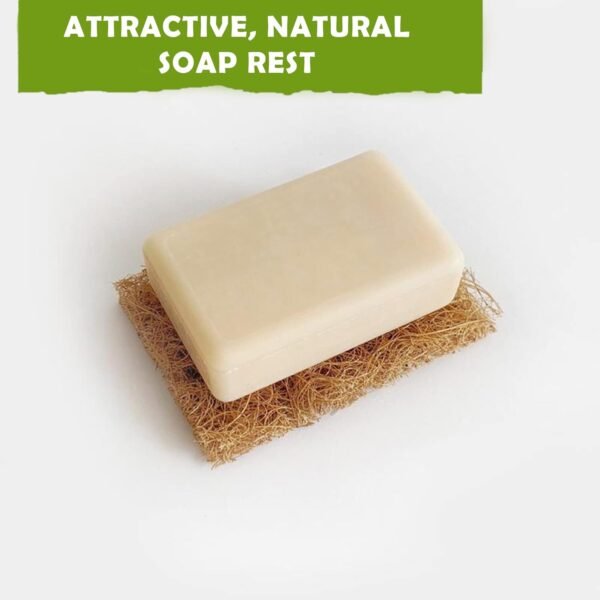 Coconut Husk Scrubber(6) Coconut Scouring Pads|Natural Dish Scrubber|Coconut Dish Scrubber|Eco Friendly Dish Scrubber|Coconut Scrubber|Coconut Husk Sponge|Coconut Husk Scouring Pad|Non-Scratch - Image 5