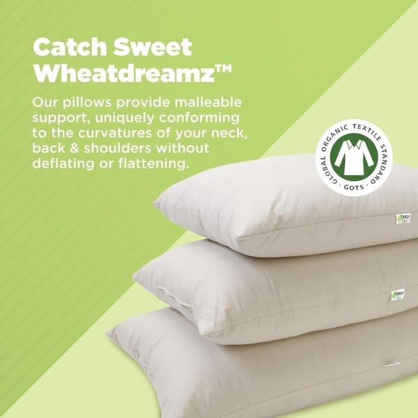 Bean Products Kapok Pillow - 14" x 20" - Japanese Sized - Organic Cotton, Vegan, Premium Quality - Made in USA Organic Fabric & Fill - Plus One Organic Natural Pillowcase - Image 2