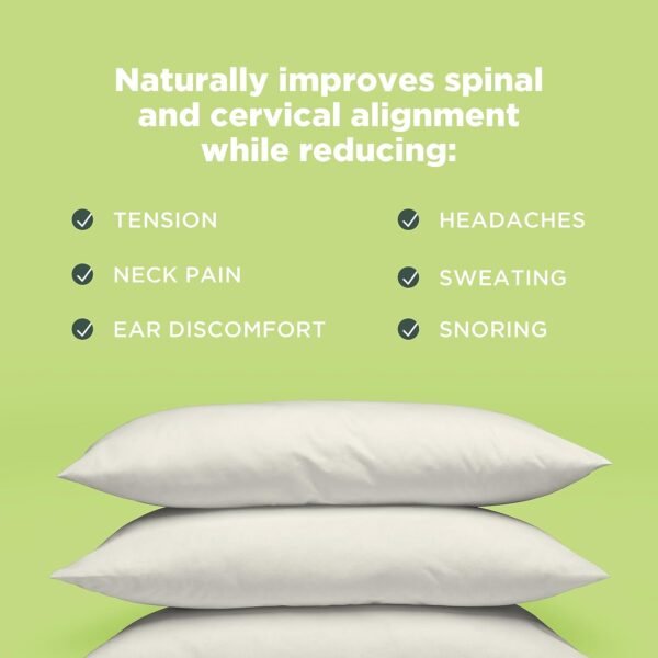 Bean Products Kapok Pillow - 14" x 20" - Japanese Sized - Organic Cotton, Vegan, Premium Quality - Made in USA Organic Fabric & Fill - Plus One Organic Natural Pillowcase - Image 5
