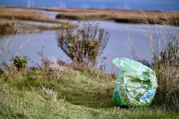 Reli. Compostable 33 Gallon Trash Bags | 80 Count Bulk | ASTM D6400 | Green | Eco-Friendly | For Compost - Image 6
