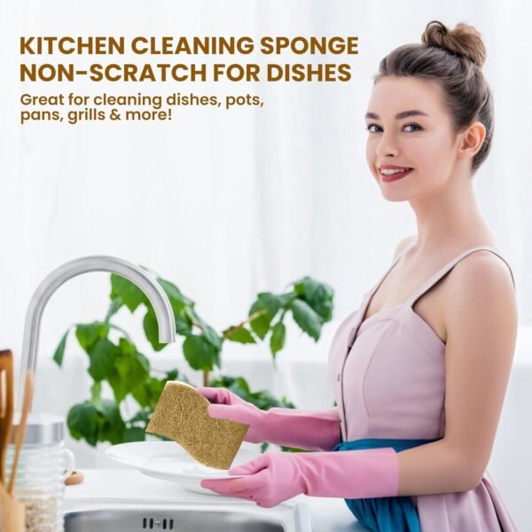 Natural Kitchen Sponge –24-Pack Biodegradable Sponges for Dishes –Compostable Dish Washing Scrubbers – Eco Friendly Non-Scratch Cellulose & Coconut Husk Scrubber Sponges for Cleaning - Image 4