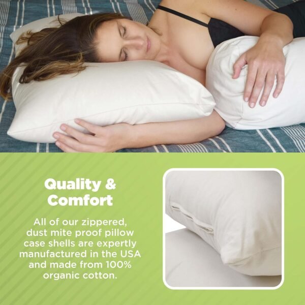 Bean Products Kapok Pillow - 18 x 18 Euro Size, Organic Cotton, Vegan, Premium Quality - Made in USA Neck Bed Body Floor Cushion Insert Couch Throw Bolster - Organic Eco Friendly Fabric and Fill - Image 4