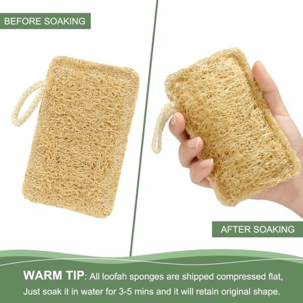 Natural Loofah Dish Sponge, Biodegradable Compostable Kitchen Loofah Scrub Sponge, Reusable Non Scratch Cleaning Sponge for Kitchen, Bathroom, Household, 3 Pcs (Rectangular) - Image 5