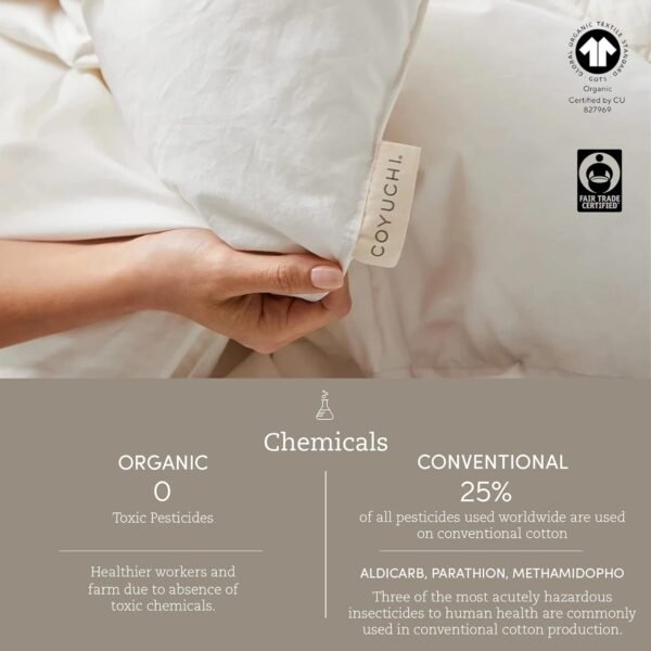 Coyuchi Organic Crinkled Percale Sheet Set, Hazel w/Sedona (Full) - Image 3