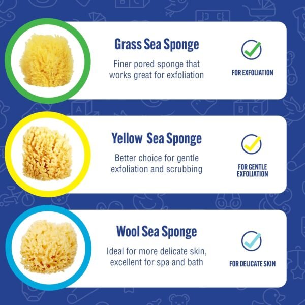Baby Buddy Natural Wool Sea Sponge, Newborn Bath Time Essential, Ultra Soft for Delicate Skin, Hypoallergenic and Biodegradable, 4 Pack - Image 5
