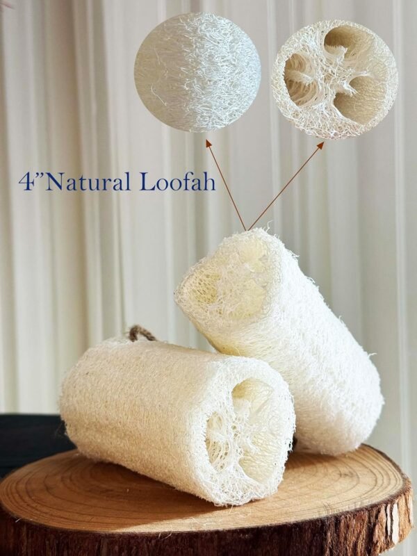 4"Plant Sponge 100% Natural Loofah Exfoliating Body and Face Sponge Scrubber for Skin Care in Bath Spa Shower Pack of 24 Made with Eco-Friendly and Biodegradable Shower Luffa Sponge - Image 3