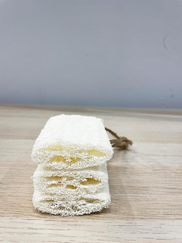 4"Plant Sponge 100% Natural Loofah Exfoliating Body and Face Sponge Scrubber for Skin Care in Bath Spa Shower Pack of 24 Made with Eco-Friendly and Biodegradable Shower Luffa Sponge - Image 7