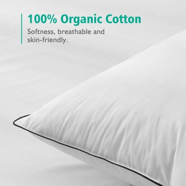 APSMILE Organic Feather Down Pillows Set of 2, Standard Size Bed Pillows for Sleeping with 100% Cotton Cover, 3-Chamber Hybrid Feather Down Core Pillow Surrounded by Polyester, 20x26 Inches - Image 5