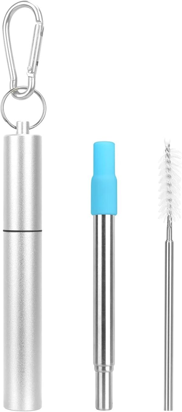 FYY Reusable Straws with Case - 1 Pack Collapsible Stainless Steel Travel Straws with Cleaning Brush & Silicone Tips Portable Telescopic Drinking Straws with Keychain Ring, Cruise Ship Essentials 1P-2