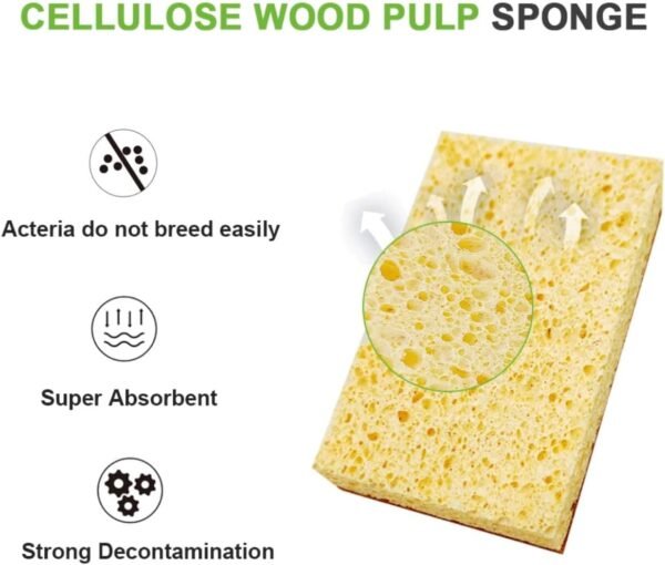 Biodegradable Kitchen Sponges 12-Pack - Natural Coconut Fiber & Cellulose, Eco-Friendly, Non-Scratch, Highly Absorbent Cleaning Sponges - Image 9