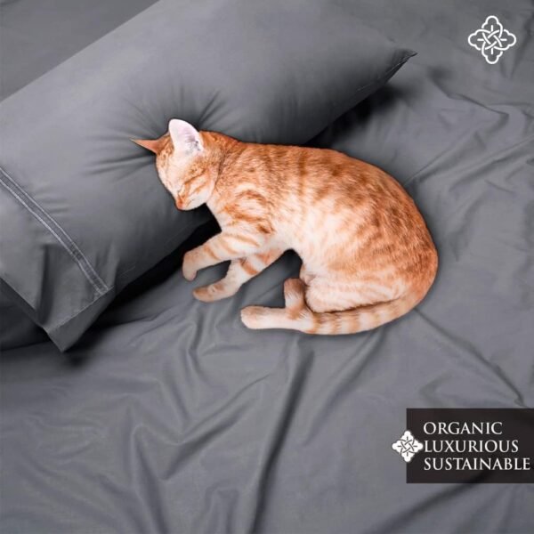 BIOWEAVES 100% Organic Cotton Percale Weave California King Sheet Sets – Crisp, Soft & Naturally Cooling, 300 Thread Count GOTS Certified Cal King Sheets, 17” Deep Pocket – 4 Piece Set, Steel Grey - Image 2