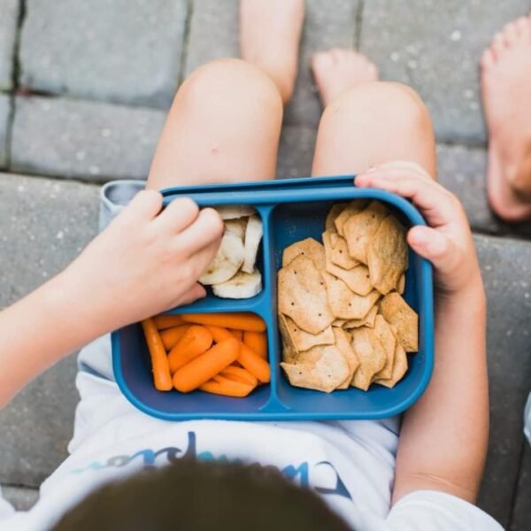 Silicone Bento Box for Kids and Adults- BPA Free, 3 Compartment Lunch Box - Microwave, Dishwasher and Freezer Safe - Perfect for Work, School and On-the-Go Meals - Image 6