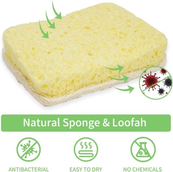3 Natural Cellulose Loofah Sponges, Biodegradable Compostable, Scratch Resistant Kitchen Cleaning Sponges, Plastic Free Eco-Friendly Sustainable Double Sided Sponges, Kitchen Scrubber Body Scrubber - Image 3