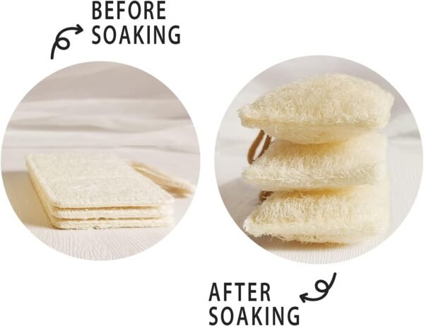 Natural Loofah Kitchen Dish Sponges Scrubber (6Pack), Non-Scratch Scrub Cleaning Sponge, Green Eco-Friendly Plant Fiber Biodegradable Loofah Sponges - Image 2