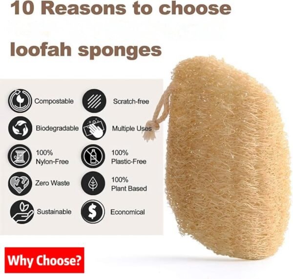 Natural Loofah Dish Sponges,Kitchen Dishwashing Brush Individually Wrapped 8-Piece Set,Suitable for Kitchen Cleaning and Bathroom Cleaning, Plant-Based Dish Scrubber,Eco Friendly Sponges - Image 8