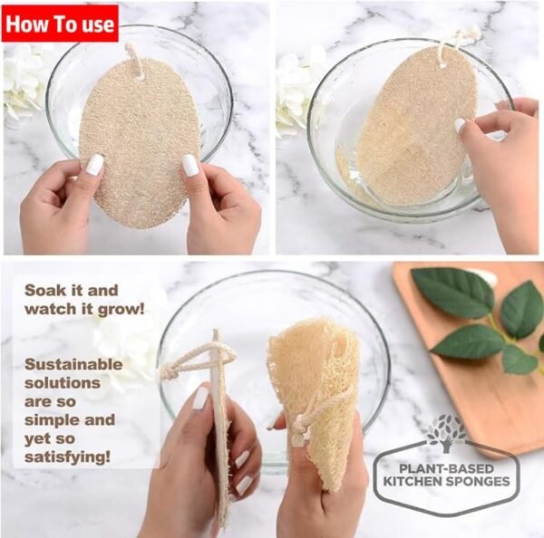 Natural Loofah Dish Sponges,Kitchen Dishwashing Brush Individually Wrapped 8-Piece Set,Suitable for Kitchen Cleaning and Bathroom Cleaning, Plant-Based Dish Scrubber,Eco Friendly Sponges - Image 3