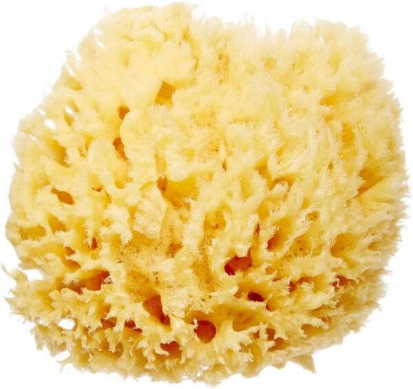 Delicate Skin Wool Sea Sponge 4 in | Real Natural Sponges for Body and Face Gentle Care | Luxurious Lather
