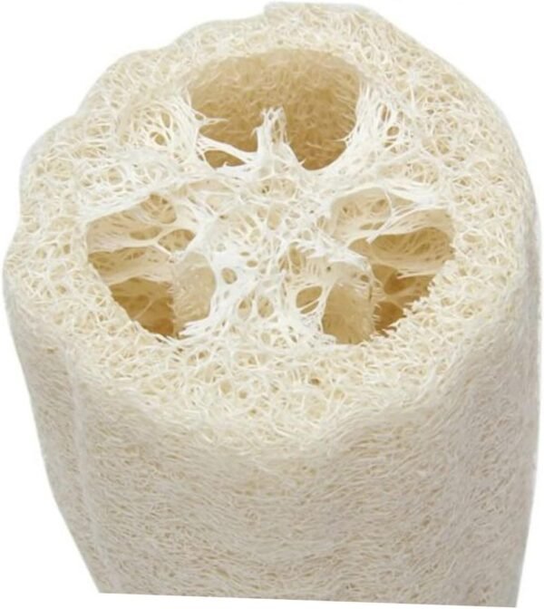 Angoily Loofah Dish Sponge Exfoliating Face Sponge Natural Loofah Sponge Bath Sponge Scrubber Luffa Scrubber Sponge Bath Scrubber for Body Shower Sponge Scrubber Clean