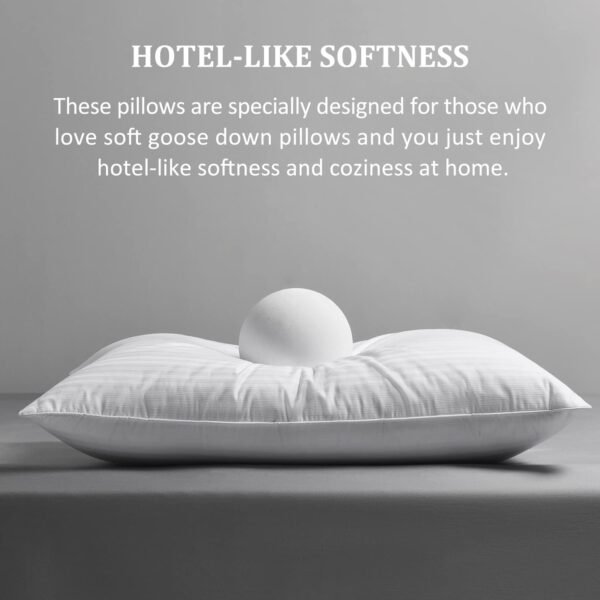 downluxe Goose Down Pillows - Hotel Collection Feather Pillows Set of 2 for Back, Stomach or Side Sleepers, Queen Size (20"x28") - Image 2