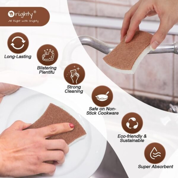 Orighty Non-Scratch Scrub Sponge, 24-Pack, Biodegradable Cellulose Kitchen Scrubber Sponges, Ideal for Kitchen Cleaning, Non-Stick Cookware, Washing Dishes, Bathroom, and Household - Image 4