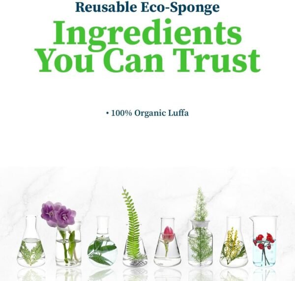 Truly Free Natural Cleaning Sponges, 100% Organic Luffa Dish Scrubber, Plant-Based Compostable Kitchen Dishwasher Sponge, Cleans Sink, Grout & Tile, Non Scratch Scouring Pad - 4.4 x 2.8 in, Pack of 3 - Image 4