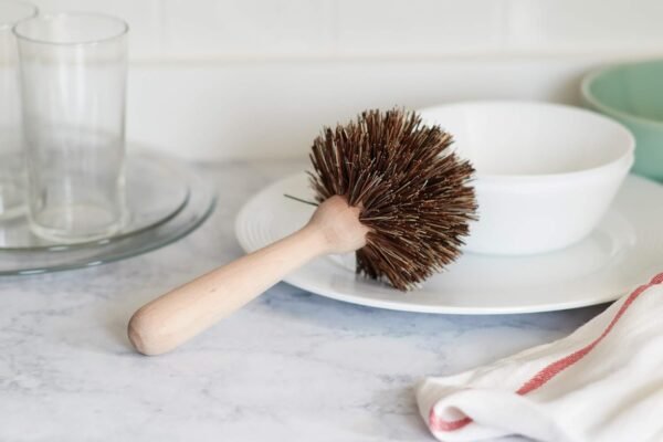 Fox Run Kitchen Brush Set of 3, Pot, Dish, and Bottle Scrub Brush with Natural Bristles - Image 5
