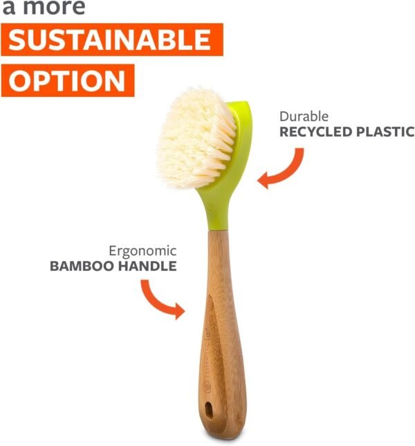 Full Circle Be Good Bamboo Handle Dish Brush – Sustainable Kitchen Cleaning with Tough Bristles - Natural Dish Scrubber & Cast Iron Cleaner - Long Handle Brush for Dishes, Pots, and Pans, Green - Image 5