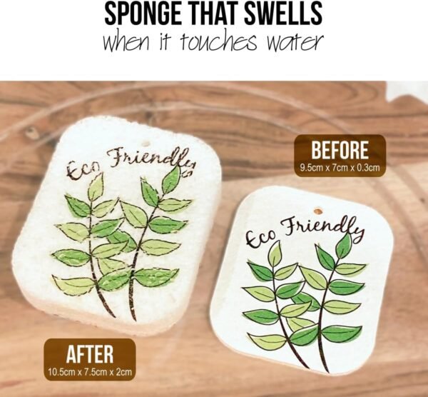 10PACK Natural Plant Based Biodegradable Eco-Friendly Cellulose Dish Sponges: Non Scratch, Multi-Purpose Kitchen,Household,Bathroom Cleaning Sponges - Image 5