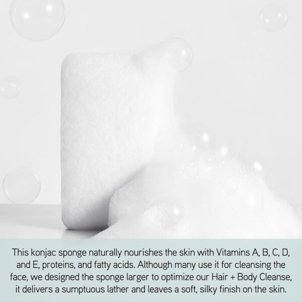 Iles Formula Body Sponge: Natural + Non-Toxic + Biodegradable + Anti-Bacterial Konjac Body Sponge to Optimize Soap Lather and Nourish The Skin with Vitamins A, B, C, D + E - Image 4