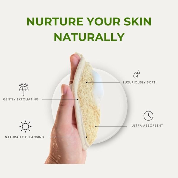 Natural Loofah Sponge, Exfoliating Body Scrubbers (2 Pack), Biodegradable Bath Loofahs Sponge, Gentle, Chemical-Free Bath & Body Loofah for Women, Men and Kids, Made with Natural Loofah - Image 4