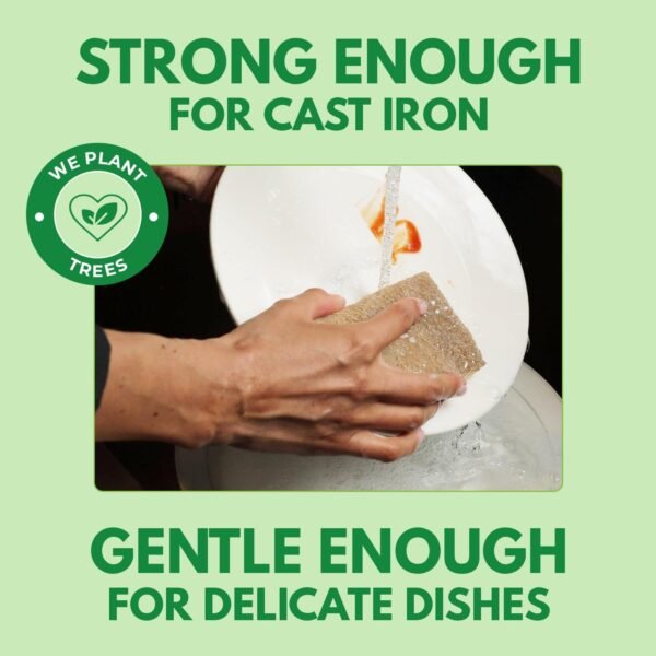 10 Pack Biodegradable Natural Kitchen Sponge - Compostable Cellulose and Coconut Walnut Scrubber Sponge - Eco Friendly Sponges for Dishes - Image 3