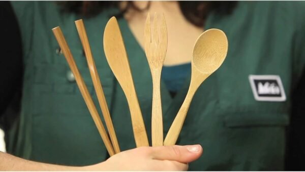 Bamboo Travel Utensils - To-Go Ware Utensil Set with Carrying Case (Agave) - Image 5