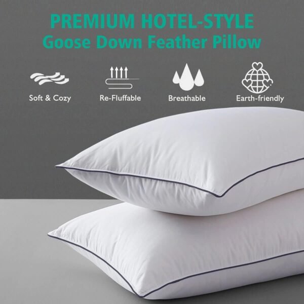 APSMILE Organic Feather Down Pillows Set of 2, Standard Size Bed Pillows for Sleeping with 100% Cotton Cover, 3-Chamber Hybrid Feather Down Core Pillow Surrounded by Polyester, 20x26 Inches - Image 2