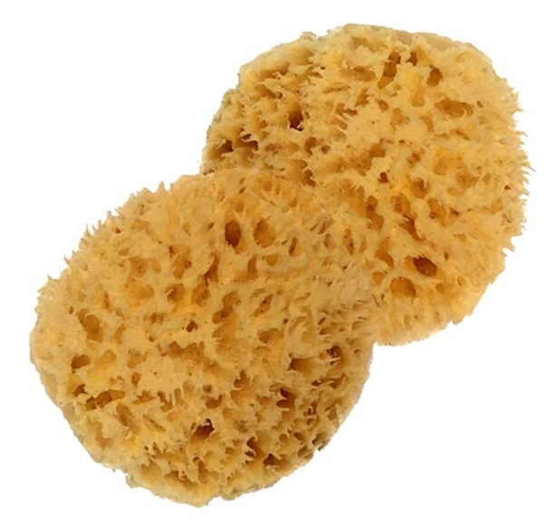 Spa Baby Absorbent Natural Bath Sponge Spa Destinations. Ultra Soft Premium Sea Wool Sponge, Biodegradable, Bath Accessories Baby and Kids, Infant Bath. Two (2) Pack 3-4 inch for Moms - Image 2