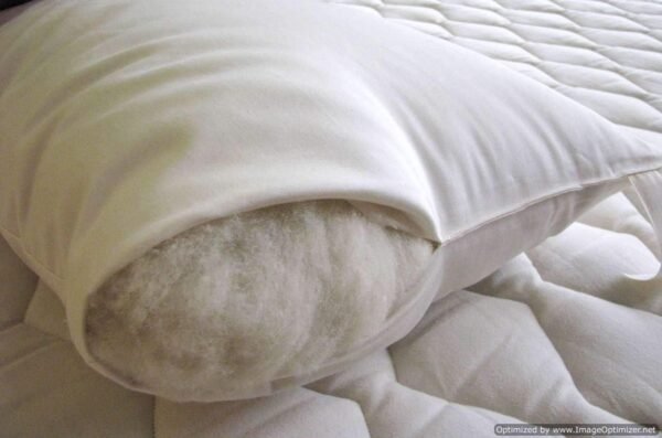 Holy Lamb Organic Body Pillow - Image 5