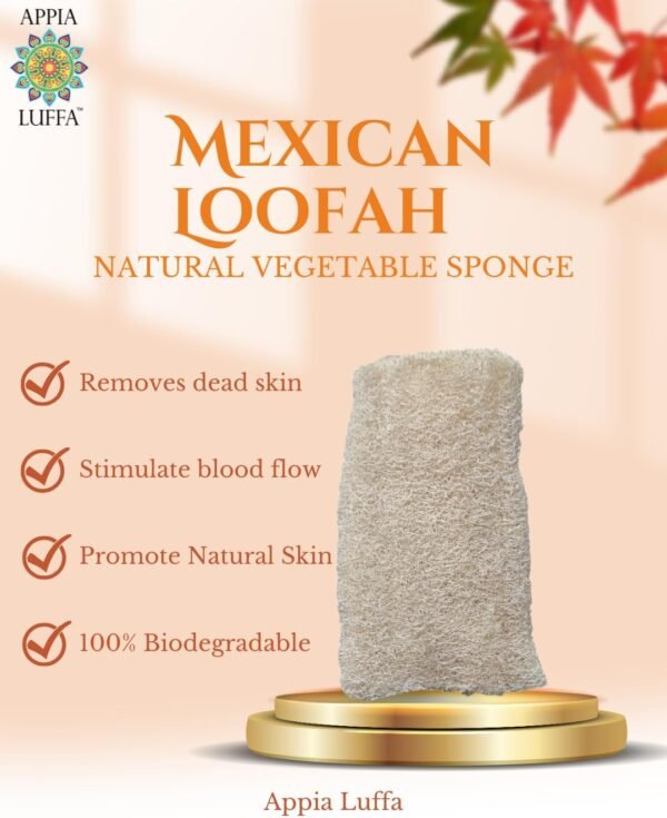 Medium Mexican Loofah Vegetable Sponge (13cm) | Loofah Bath Sponges | All Purpose Vegetable Sponge | Eco Friendly 100% Natural & Biodegradable | Daily Skin Cleansing Care for Women and Men - Image 3