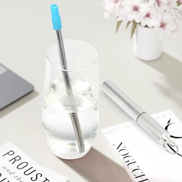 FYY Reusable Straws with Case - 1 Pack Collapsible Stainless Steel Travel Straws with Cleaning Brush & Silicone Tips Portable Telescopic Drinking Straws with Keychain Ring, Cruise Ship Essentials 1P-2 - Image 5