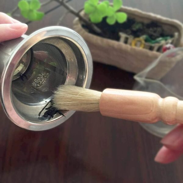 ACKLLR Coffee Grinder Cleaning Brush, Heavy Wood Handle & Natural Bristles Wood Dusting Espresso Brush and Nylon Espresso Machine Brush with Spoon for Bean Grain Barista Pasta Makers Home Kitchen - Image 5