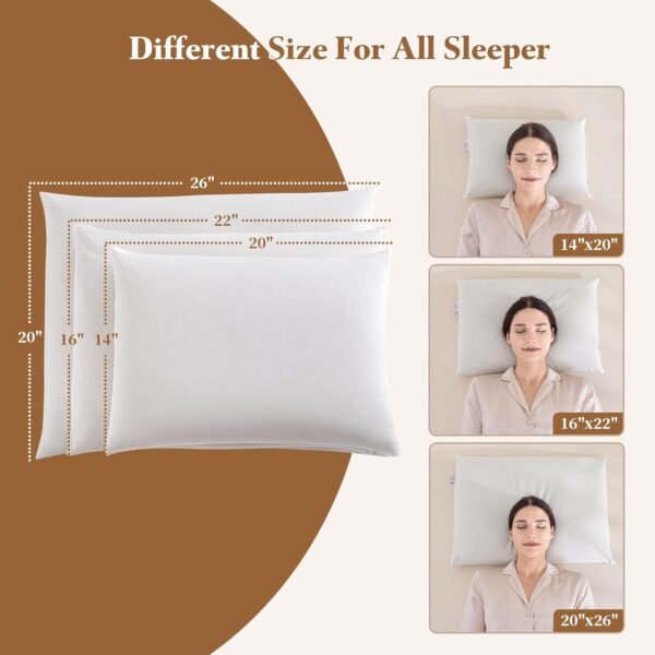 Buckwheat Pillow-Adjustable Buckwheat Pillows for Sleeping with Organic Cotton Cover for Adult Neck Pain Relief - Best Neck&Cervical Pillow for Side Back Stomach Sleeper Standard Size 14"x20" - Image 6