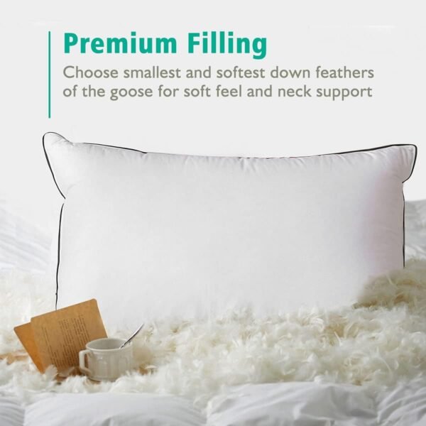 APSMILE Organic Feather Down Pillows Set of 2, Standard Size Bed Pillows for Sleeping with 100% Cotton Cover, 3-Chamber Hybrid Feather Down Core Pillow Surrounded by Polyester, 20x26 Inches - Image 6