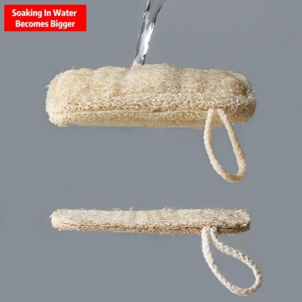 Natural Loofah Dish Sponges,Kitchen Dishwashing Brush Individually Wrapped 8-Piece Set,Suitable for Kitchen Cleaning and Bathroom Cleaning, Plant-Based Dish Scrubber,Eco Friendly Sponges - Image 2