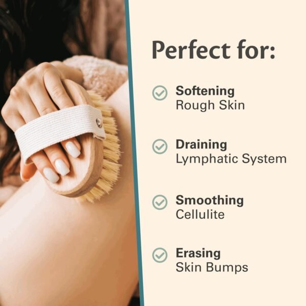 Firm Dry Brush & Shower Brush for Body - Handheld Back Scrubber Body Brush Exfoliator & Dead Skin Remover for Body Firm & Tighten Skin Improve Circulation for Men & Women by M3 Naturals - Image 4