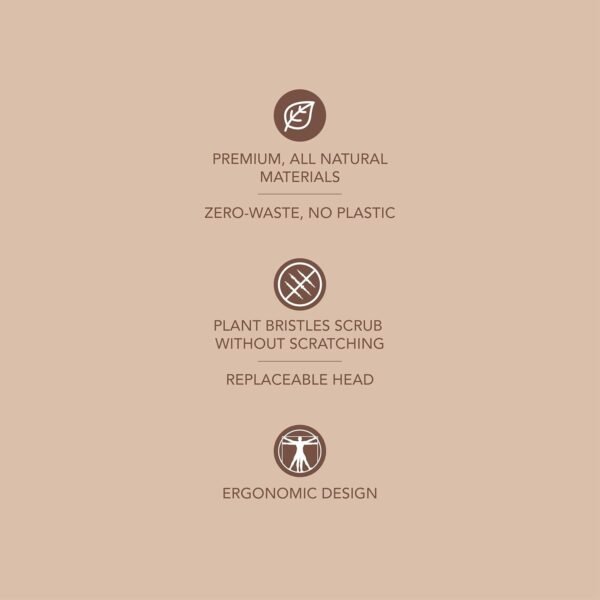 Murchison-Hume Compostable Dish Brush with Wooden Handle, Replaceable Scrubber Head, No Plastic Parts, All-Natural Materials Scrubbing Tool for Cleaning Pans, Pots, and Kitchen Sink, 8.3 inches - Image 2