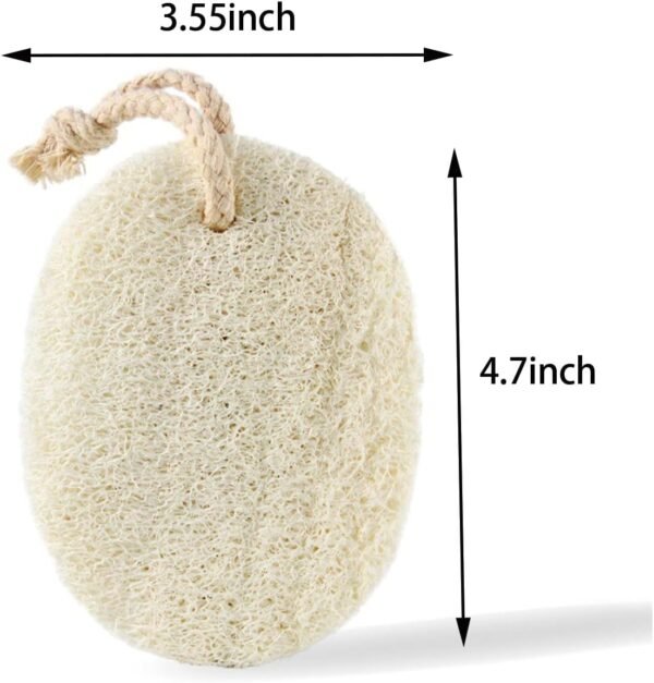 4 Packs Natural Loofah Exfoliating Sponge，Organic Loofah Body Scrubber Natural Exfoliating Sponge with Biodegradable Luffa Shower Loofah Sponge Gentle Body Scrub Eco Friendly Vegetable Fiber Loofah - Image 4