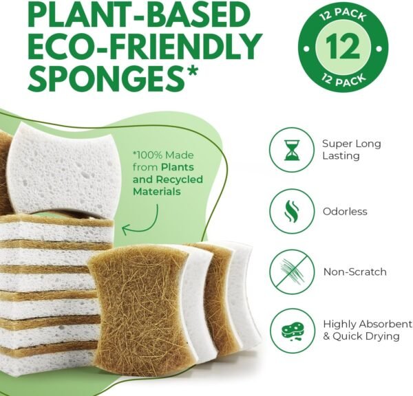 Biodegradable Natural Dish Sponges Kitchen Pack of 12 - Coconut and Cellulose Sponges for Dishes and Surfaces - Eco Friendly Non-Scratch Heavy Duty Dish Scrubber Sponges Bulk for Household - Image 2