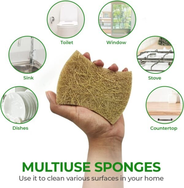 Biodegradable Natural Dish Sponges Kitchen Pack of 12 - Coconut and Cellulose Sponges for Dishes and Surfaces - Eco Friendly Non-Scratch Heavy Duty Dish Scrubber Sponges Bulk for Household - Image 7