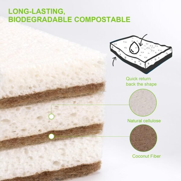 Natural Sponges for Dishes 12 Pack - Keep Soap Biodegradable Kitchen Sponge Compostable Coconut Scrubber - Eco Friendly Cleaning Sponges - Image 4
